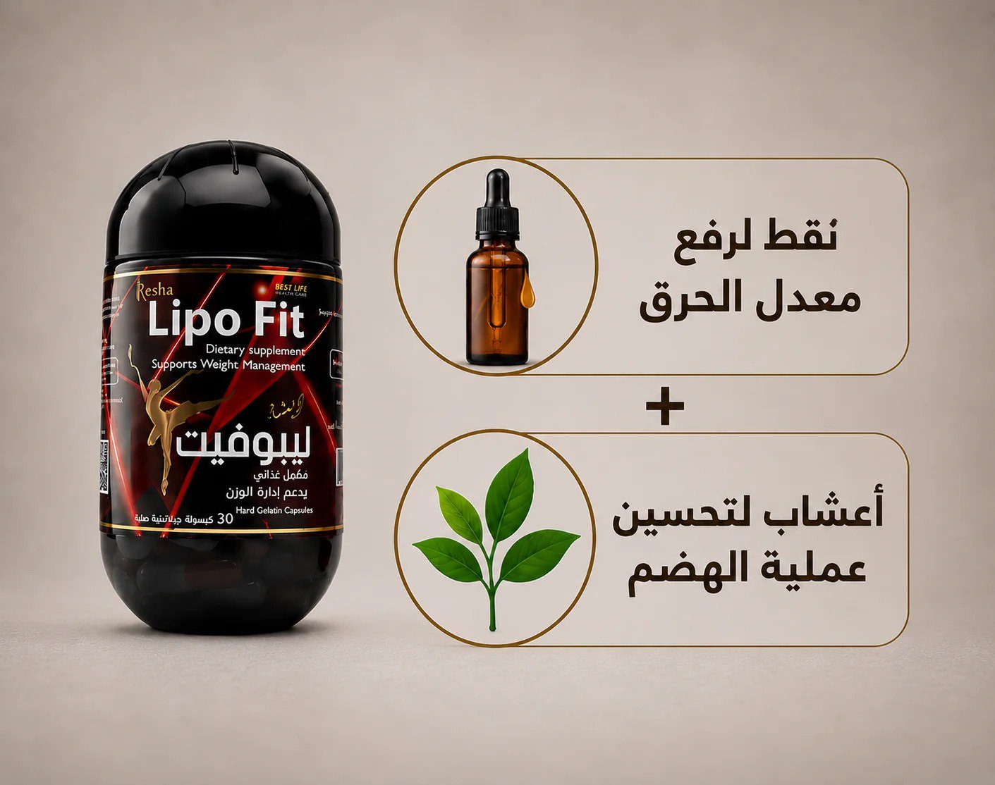 كورس ريشه ليبوفيت